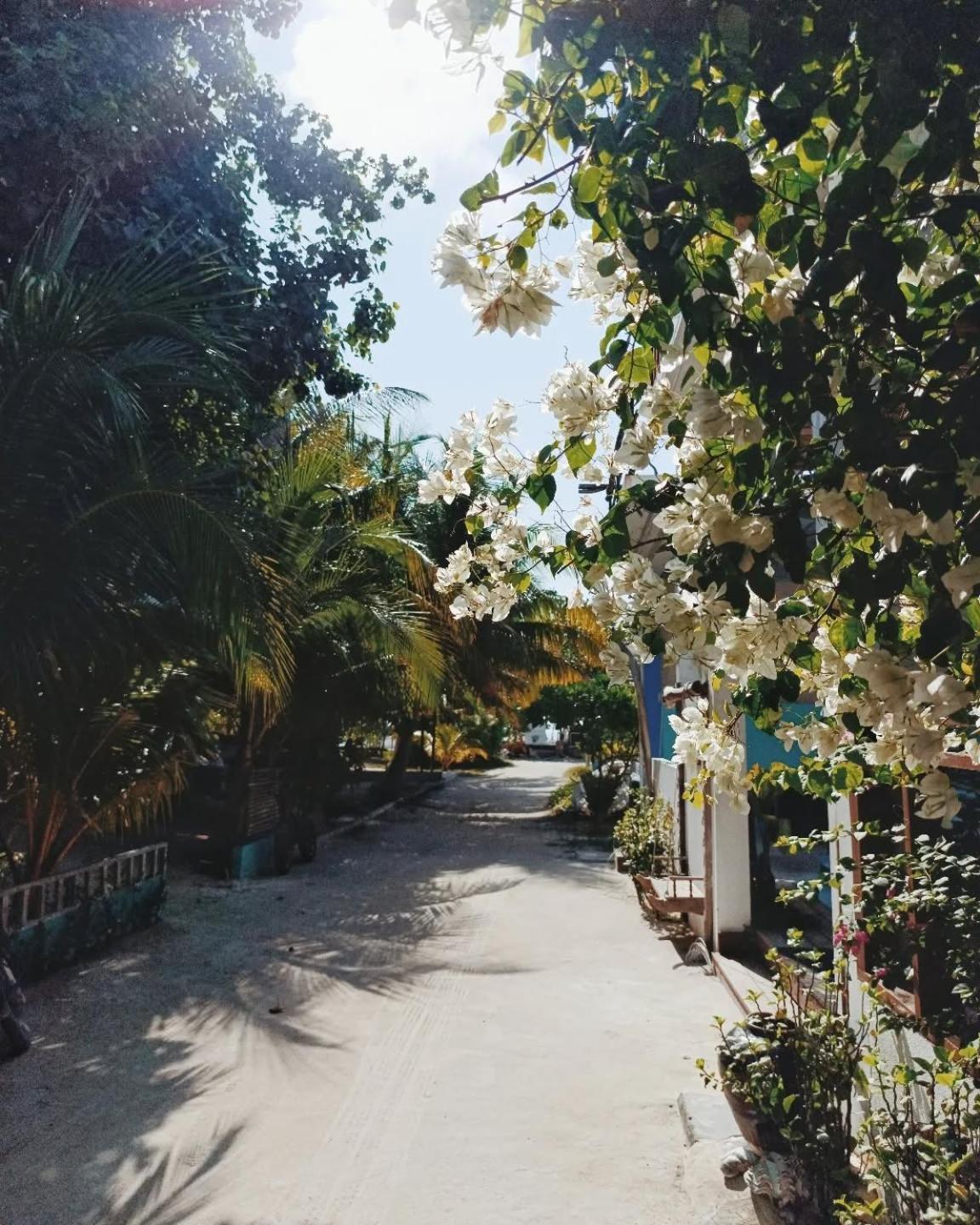 Kudhi Boli Beach House Тулусду Экстерьер фото